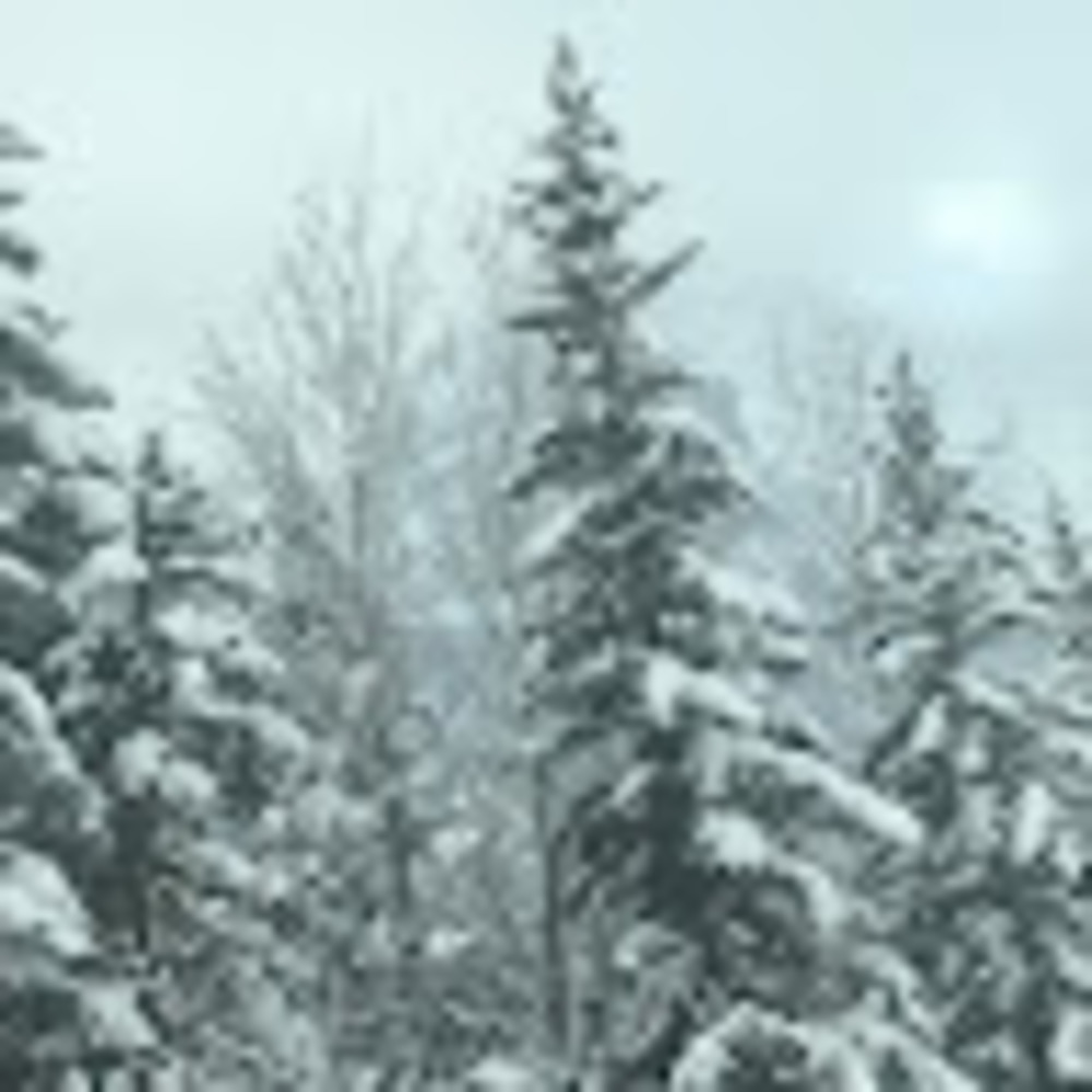 Meet your Posher, Hudson